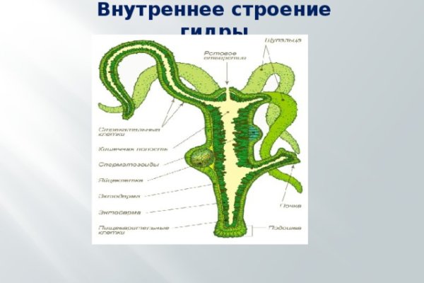 Сайты даркнета 2024